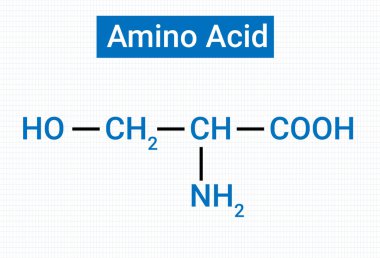 Serin amino asit ve yapısı