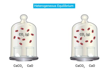 Process of Heterogeneous Equilibrium (CO2(g))