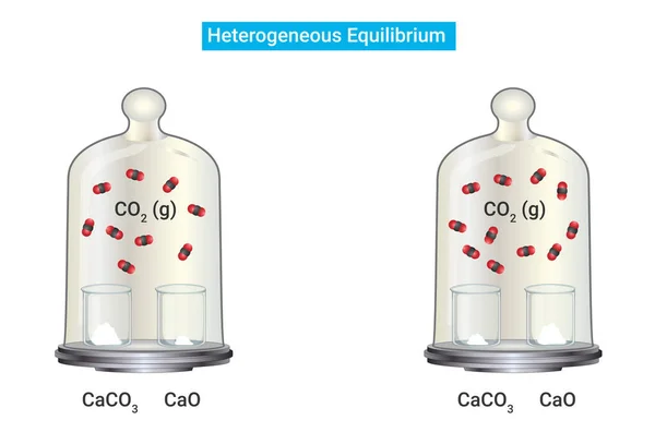 Process Heterogeneous Equilibrium Co2 — Stock Vector