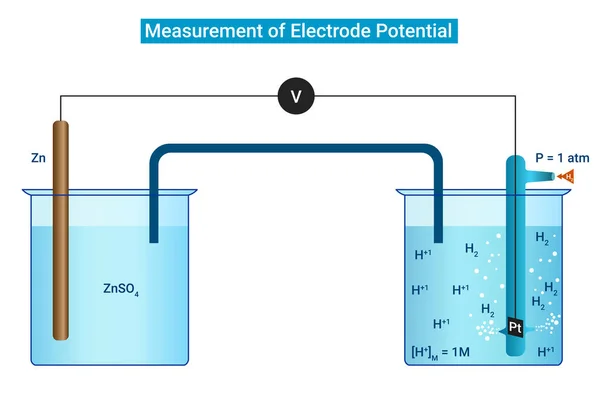 Measurement Electrode Potential Chemistry — Stock Vector