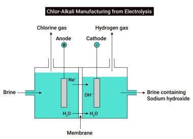 Chlor Alkali Manufacturing from Electrolysis