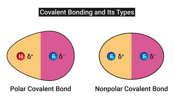 Ковалентное сближение и его типы (Полярные ковалентные облигации и Неполярные ковалентные облигации))