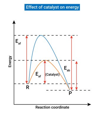 Grahams Law of Diffusion: Grahams law states that the rate of diffusion