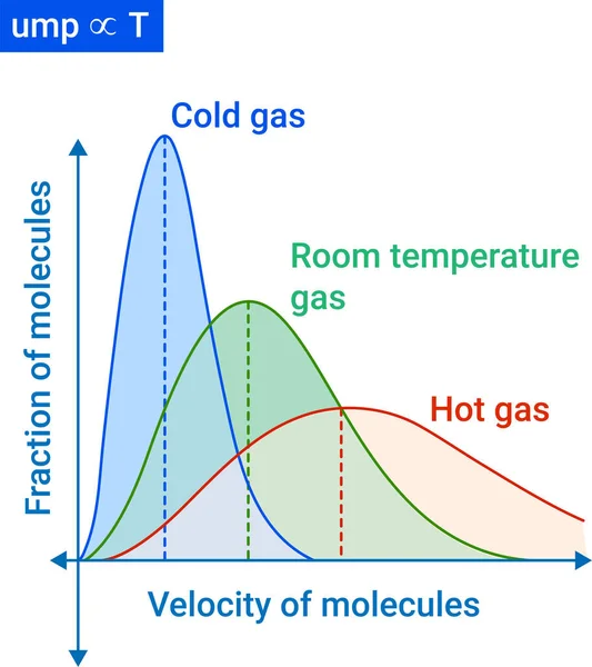 Maxwell Distribution Molecular Speeds — Vector de stock