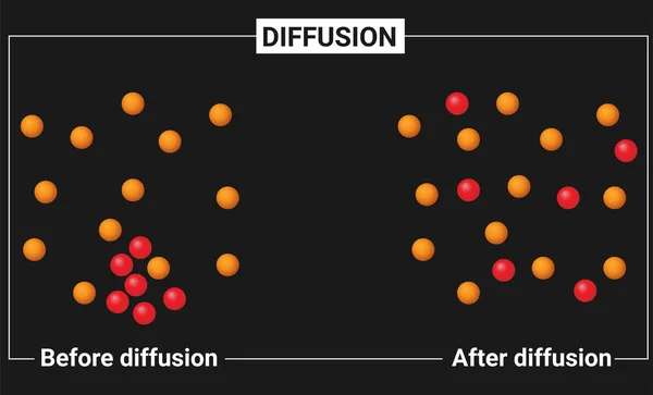 Diffusion: particle model of diffusion