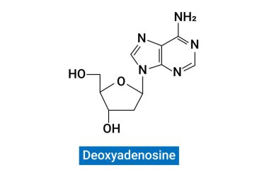 Deoxyadenosine (symbol dA or dAdo) is a deoxyribonucleoside.