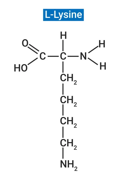 赖氨酸的化学结构 — 图库矢量图片