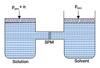 Çözüm ve Çözücünün Kimyasal Süreci (SPM)