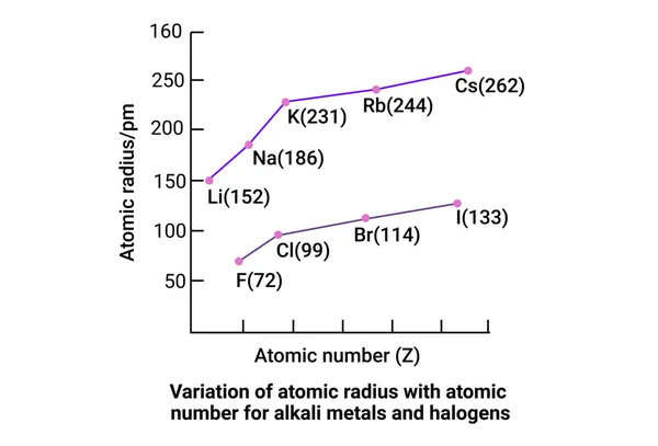 Alkali metaller ve halojenler için atom numarası olan atom yarıçapının varyasyonu