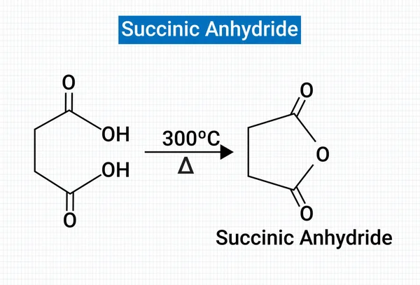 Estructura Química Del Anhídrido Succínico — Vector de stock