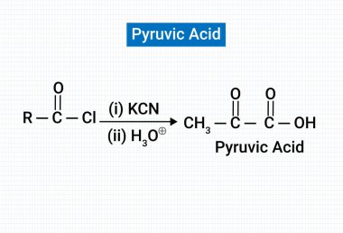 Pyruvic Asitinin Kimyasal yapısı.