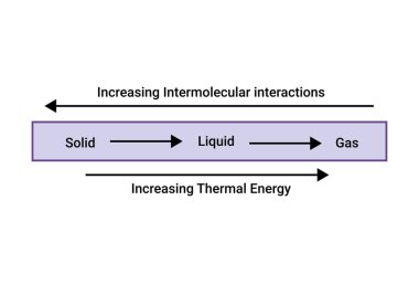 Moleküler etkileşimlerin artması ve Termal Enerjinin Artırılması
