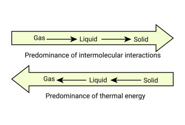Moleküler etkileşimlerin ve termal enerjinin ağırlığı
