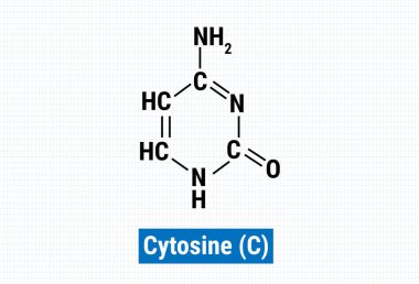 Sitozinin kimyasal yapısı (C)