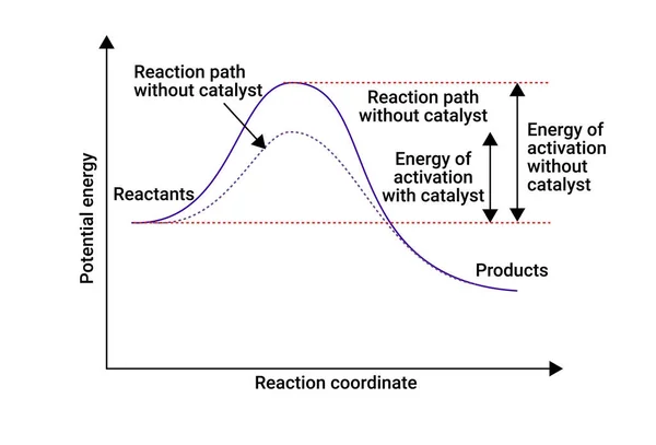 Graf Souřadnic Potenciální Energie Reakce — Stockový vektor