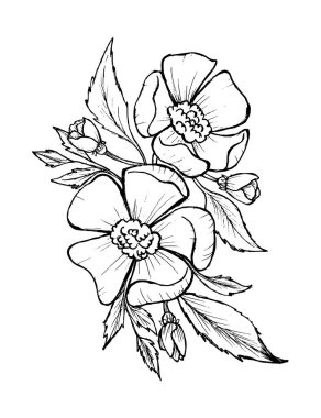 El çizimi siyah ve beyaz yapraklar çiçek