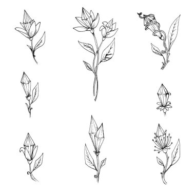 Nesnelerin çizimi el çizimleri desen çiçek kristalleri