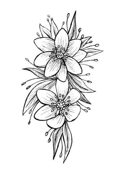 Bosquejo Dibujado Mano Hojas Blancas Negras Flor — Archivo Imágenes Vectoriales