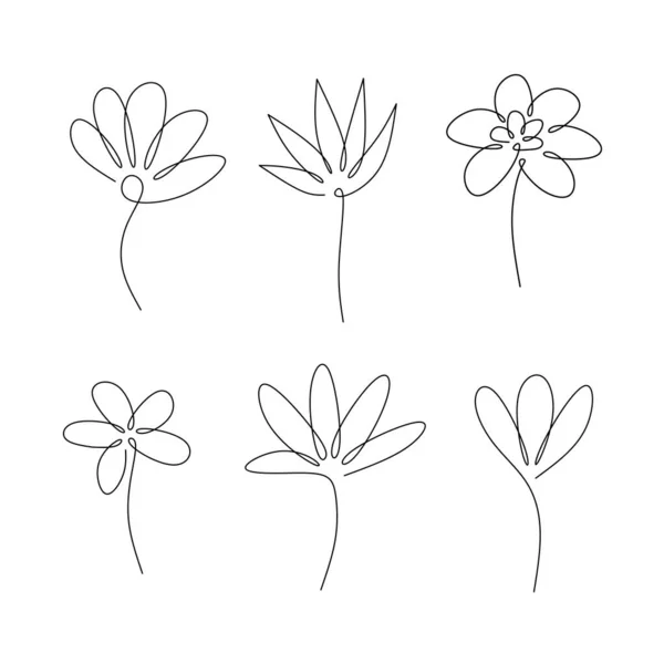 Set Blume Grafiken Illustration Symbol Skizze Tätowierdruck Schwarz Weiß Skizze — Stockvektor