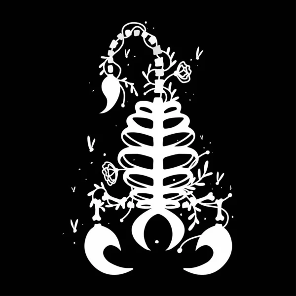 Semne Zodiacale Oase Craniu Halloween Obiecte Icoane Stele Grafică Alb — Vector de stoc