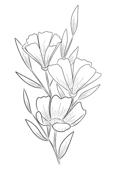 Collection Flower Graphics Black White Illustration Set Elements — Stockvektor