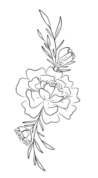 Collection Flower Graphics Black White Illustration Set Elements — Stockvektor