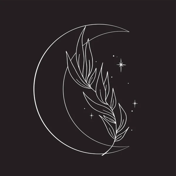 Ilustrație Grafică Frunză Artă Linie Lună Desene Vectoriale Stele Pentru — Vector de stoc