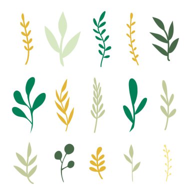 Bitki ve bitki yapraklarının karışımı..