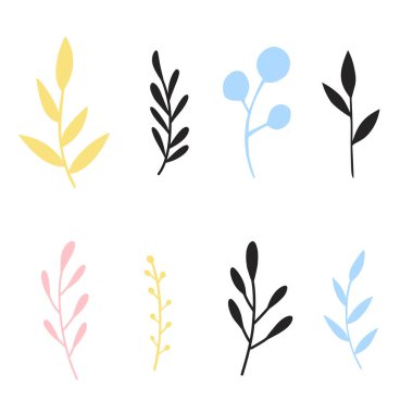 Renkli otlar ve bitki koleksiyonunun karışımı..