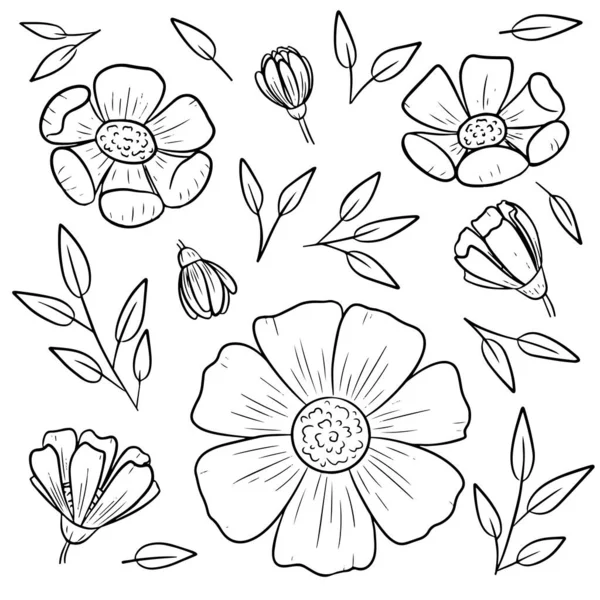 Collection of flower sketch graphic elements for tattoo