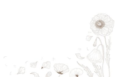 Background poppy flower and leaves drawing illustration. for pattern, logo, template, banner, posters, invitation and greeting card design.