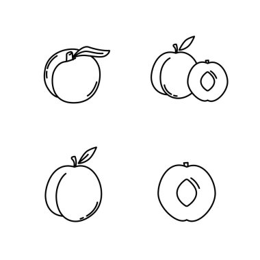 Jojoba icon outline black and white line. Vector stock