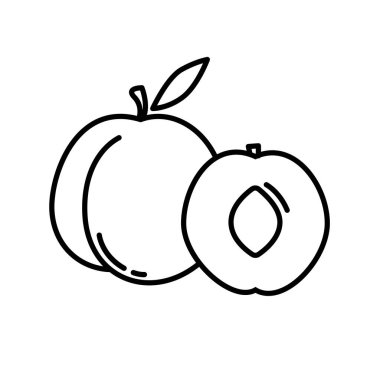 Anahat meyve şeftali. Vegan, vejetaryen diyet. Çiğ gıda maddesi. Vejetaryen beslenme. Tatlı meyve. İzole vektör illustartion.