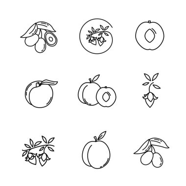 Zeytin asgari çizgi simgesi. Web felci sembolü tasarımı. Beyaz arka planda zeytin işareti var. Premium satır simgesi.