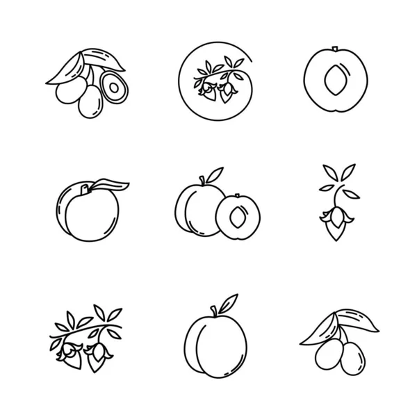 Icône Ligne Minimale Olive Conception Symboles Course Web Panneau Olivier — Image vectorielle