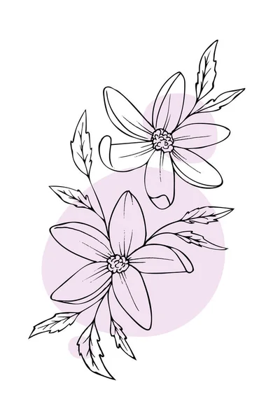 Handgezeichnete Skizze Schwarzer Und Weißer Blätter Blume Vektorillusion — Stockvektor