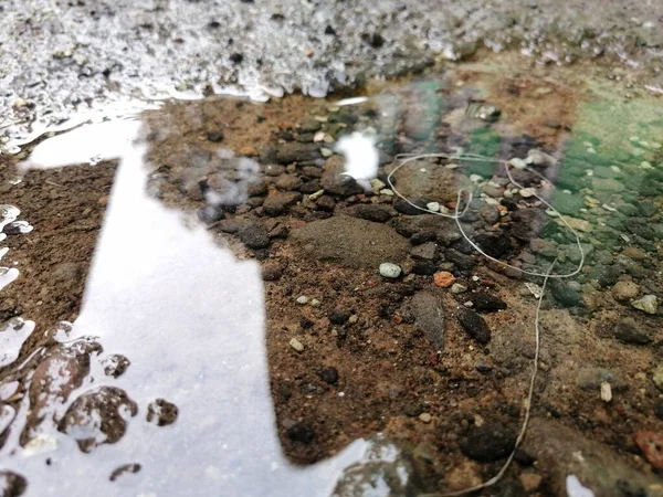 Şiddetli hava koşulları, iklim değişikliği ve küresel ısınmanın etkisi nedeniyle kurak mevsim