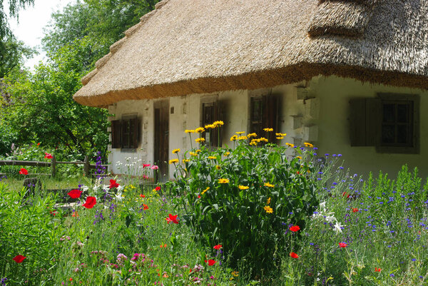 The Ukrainian village. There is a traditional Ukrainian house under reed roof in a flowering garden.