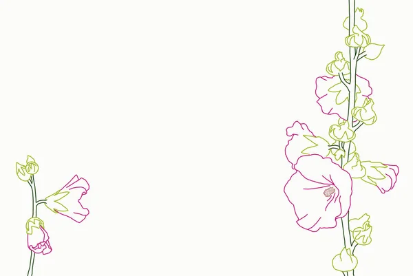 Hollyhocks Alcea Rosea Flowers Drawing Line Art White Backgrounds — 图库照片