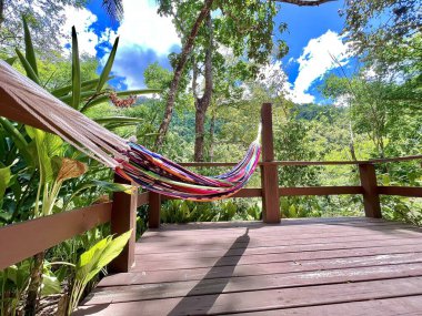 Belize 'de hamak dinleniyor.