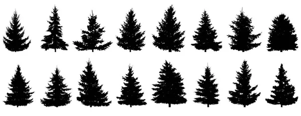 Sílhueta Árvores Abeto Conjunto Árvores Realistas Ilustração Vetorial —  Vetores de Stock