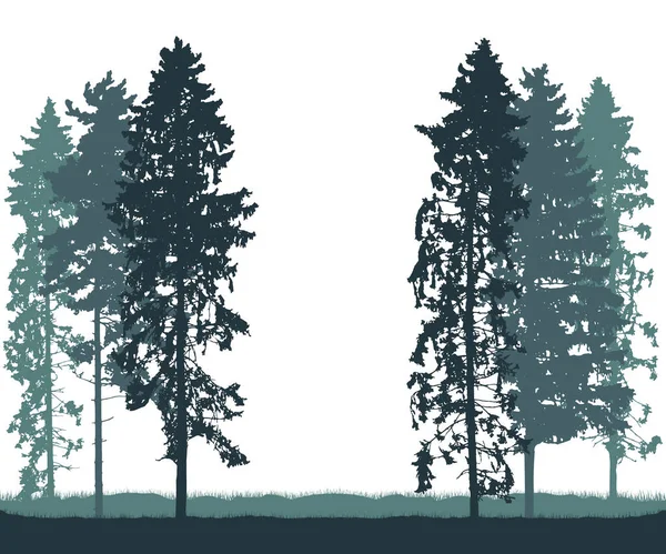 Beautiful Tall Spruce Trees Silhouette Forest Vector Illustration — Stock Vector