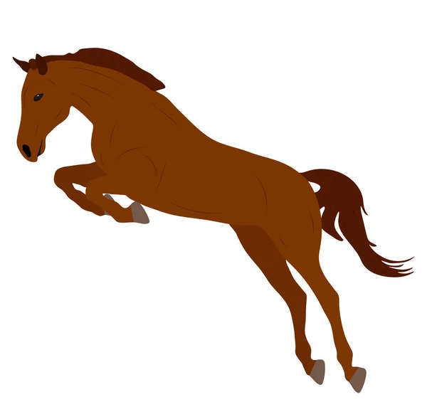 Mooi Bruin Springpaard Vectorillustratie — Stockvector