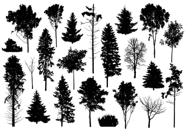 Silueta Unor Copaci Diferiţi Colecție Copaci Pădure Conifere Veșnic Verzi — Vector de stoc
