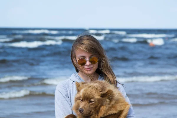 Bruine Finse Lapphund Aan Zee Met Eigenaar — Stockfoto