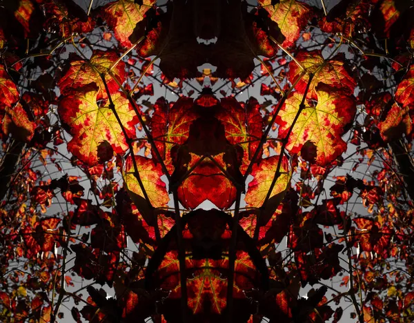 Levendige Herfstbladeren Psychedelische Abstracte Achtergrond — Stockfoto