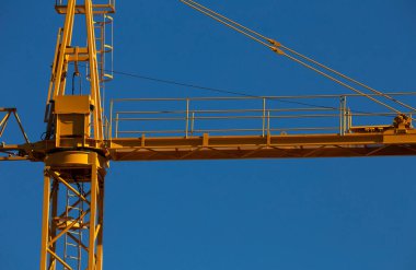 Sarı Yapı Turnası canlı bir Mavi Gökyüzüne karşı, Braga, Portekiz.