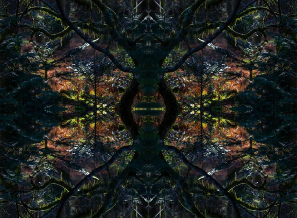 Psychedelische Wälder Winter Symmetrisches Kaleidoskop Abstrakter Hintergrund — Stockfoto