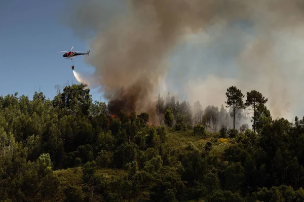 Rufa Eurocopter 350B3 Firefighter Dropping Water Forest Fire Day Povoa — Stockfoto