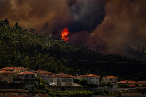 Wildfire Houses Povoa Lanhoso Braga Portugal — Stockfoto